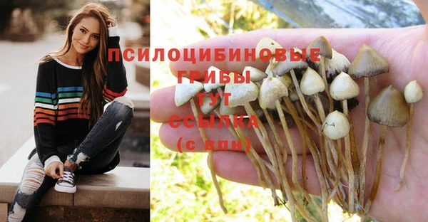 мескалин Бородино