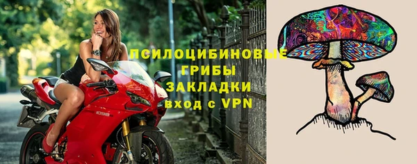 мескалин Бородино